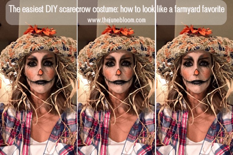 DIY Scarecrow costume